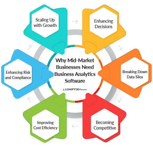 Business Analytics Software